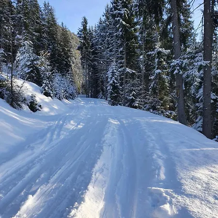 Zillertaler Sennhuette Ferienhaus *