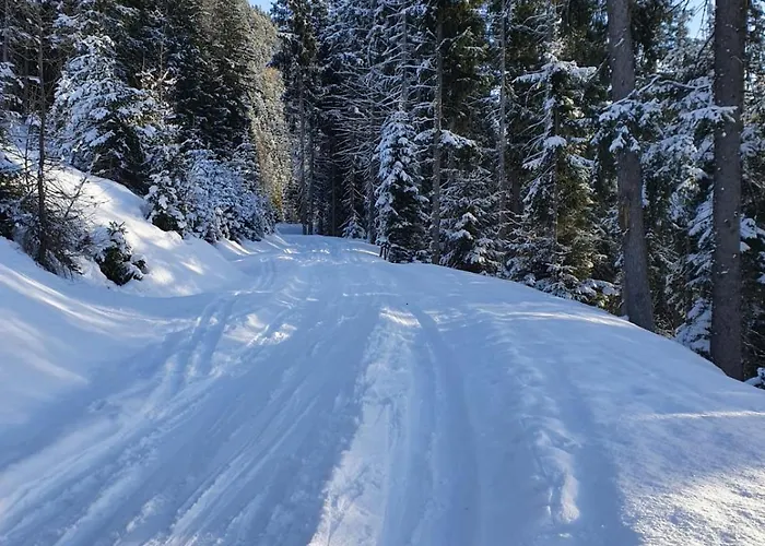 Zillertaler Sennhuette Feriehus *